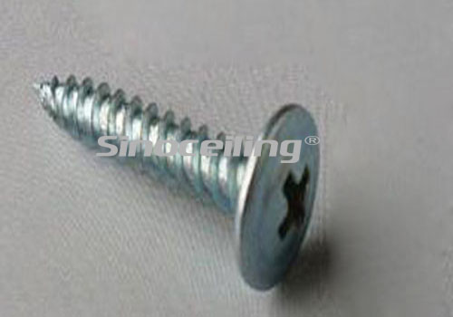 4.2x16mm wafer head screw
